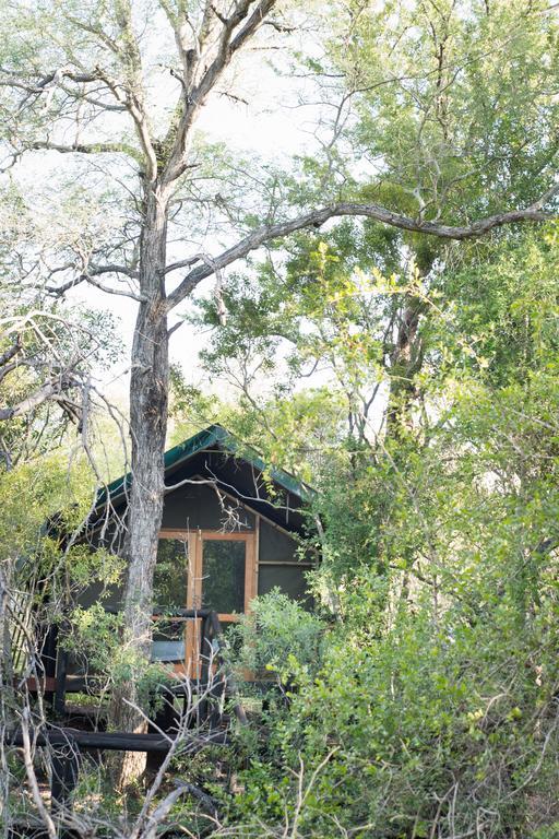 Ndzhaka Tented Camp Manyeleti Game Reserve Exterior photo